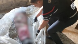 Замуровал в бетоне: иностранца отправили в колонию за убийство родственника на Курилах