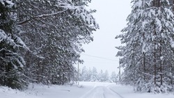 Снег и 30-градусные морозы: прогноз погоды в Сахалинской области на неделю
