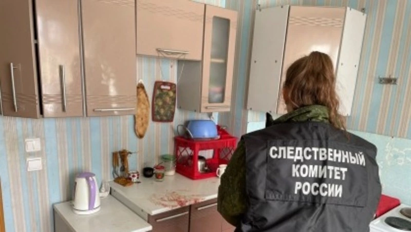 Жителя Смирных подозревают в нанесении ножевых ранений пьяной женщине