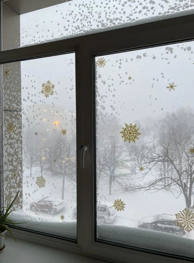 Снежная поэзия