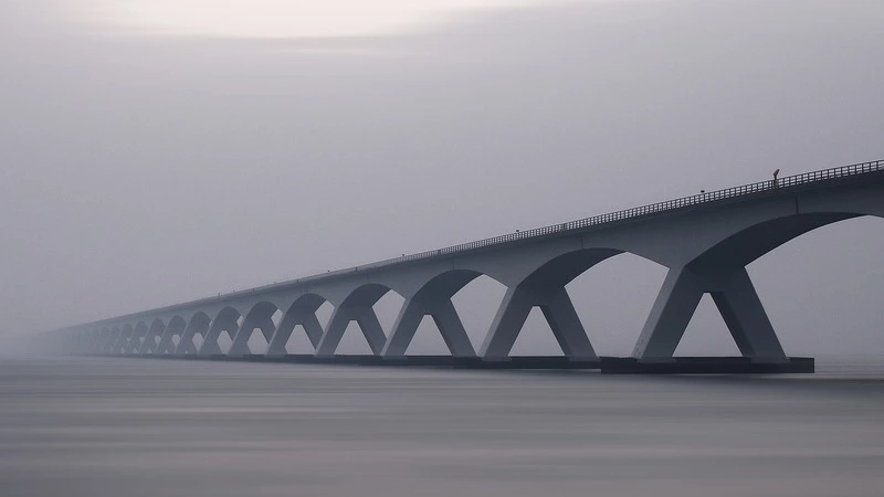 Сахалин без моста назвали медвежьим углом