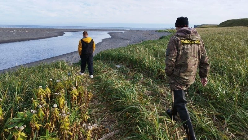 Браконьера из Северо-Курильска осудили за незаконный вылов 78 самок горбуши