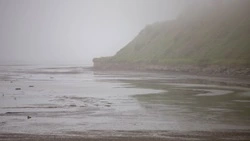 Синоптики спрогнозировали дождь и до +23 градусов в Сахалинской области 21 июля 