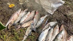 Инспекторы рыбоохраны задержали браконьеров на лодке со ставной сетью в Охинском районе 