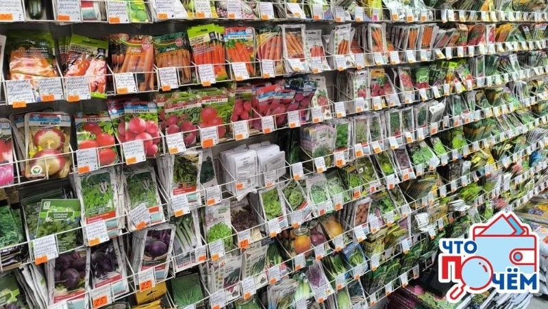 Где дешевле купить семена в 2026 году: Южно-Сахалинск против Wildberries и Ozon
