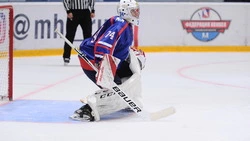 «Сахалинские акулы» попрощались с вратарем