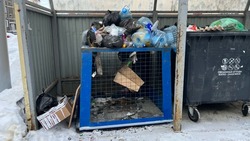 Очевидцы: неизвестные переворачивают мусорные контейнеры во дворах Южно-Сахалинска