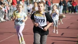 «Воля к победе»