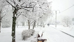 Сахалин заметет снегом, а температура опустится до минус 30 градусов 21 декабря