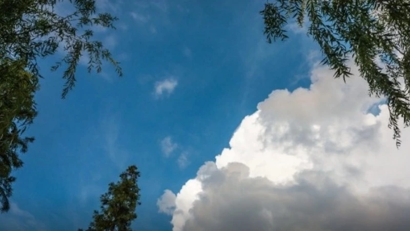 Дожди и ветры спрогнозировали синоптики в Сахалинской области 17 августа