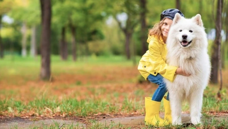 Жителям Сахалина рассказали об опасности весенней оттепели для собак