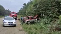 Внедорожник съехал в кювет и перевернулся на юге Сахалина