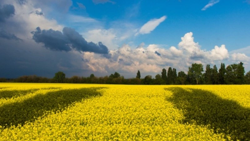 Данные о погибших в Украине, россияне остаются без работы. Новости 3 марта