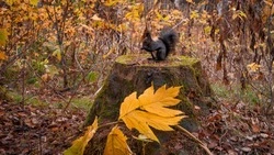 Высокое атмосферное давление и до –6 градусов ждет жителей Южно-Сахалинска 21 октября