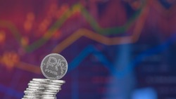 ЦБ предложил перенести массовое внедрение цифрового рубля на 2026 год