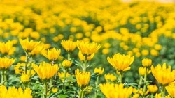 Эксперт: Решение Путина о частичной мобилизации — повод для гордости