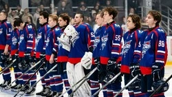 «Сахалинские Акулы» принимают «Амурских Тигров» в решающих матчах сезона