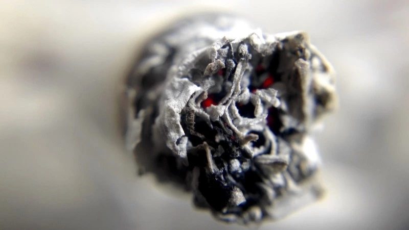 Запрет на продажу сигарет беременным и взрослым с детьми предложили ввести в России