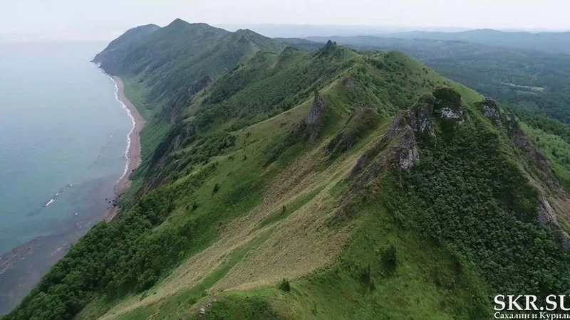 Пропавшего в сахалинской бухте Тихой Антона Кузнецова нашли мертвым