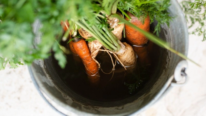 Церковный праздник 29 июля 2024: что нельзя делать в этот день, приметы