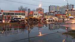 Рухнувшие столбы, сломанные ветки: последствия циклона устраняют в Южно-Сахалинске