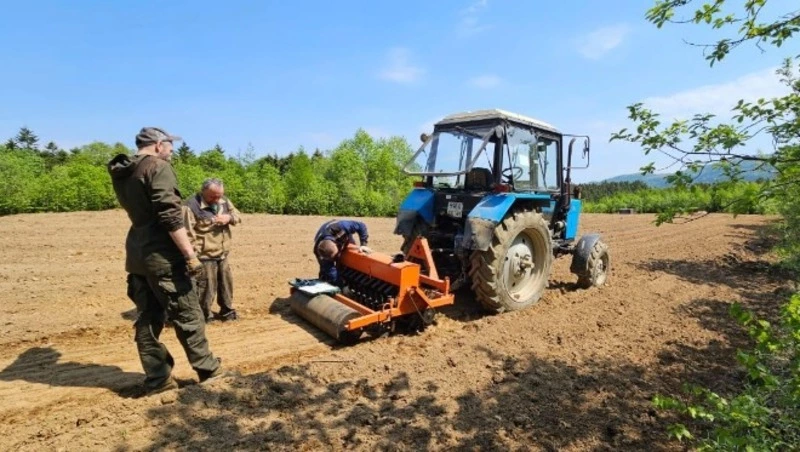 Новая техника вышла на посев хвойных в Юго-Западном лесном хозяйстве Сахалина