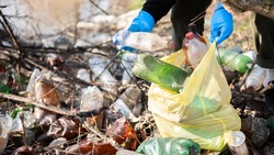 Более 900 нарушений закона в сфере обращения с отходами выявили на Сахалине по итогам 2024 года