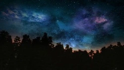 Гороскоп на 5 ноября 2025 года для всех знаков зодиака 