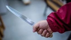 Скорую вызвала соседка: южносахалинца задержали по подозрению в покушении на убийство матери