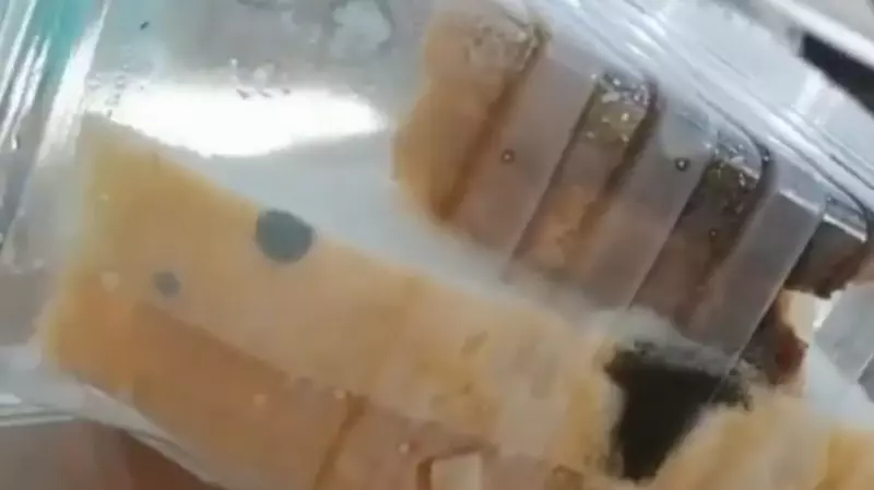 Ребенок пообедал сэндвичем с плесенью в Корсакове