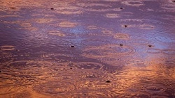 Василий Вишневский назвал причины последствий от дождей и циклонов в Южно-Сахалинске