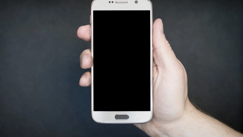 Сахалинский подросток «заминировал» школу по телефону своего друга