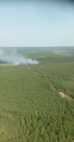 Появилось видео лесного пожара в Охинском районе