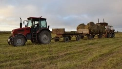 Почти 900 гектаров сельхозземель восстановили на Сахалине и Курилах в 2023 году 