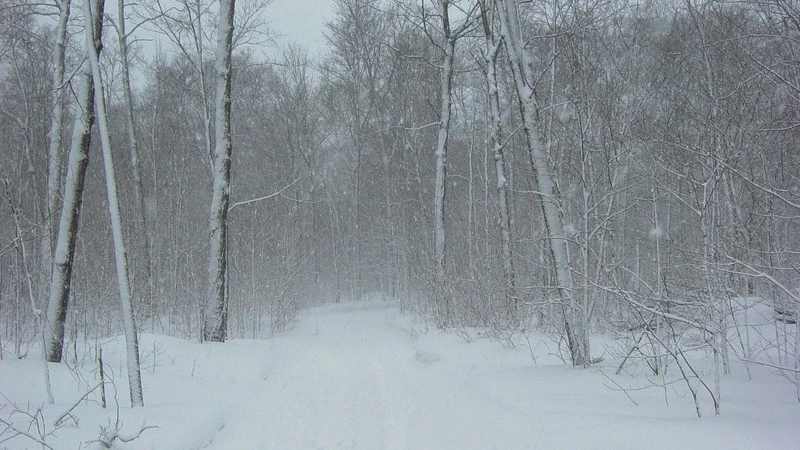 Из-за метели аэропорт Южно-Курильска не выпускал самолеты с Кунашира