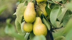 Приметы обо всем на 10 августа 2023 года: что можно и нельзя делать в этот день