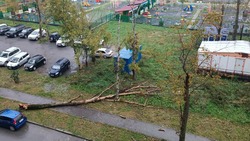 Сергей Надсадин сообщил об актуальной обстановке после циклона в Южно-Сахалинске