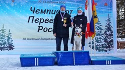 Сахалинцы с собаками в упряжках сразились за медали на международных соревнованиях