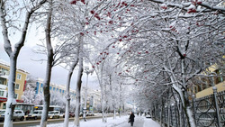 Погода в новогоднюю ночь на Сахалине и Курилах: прогноз синоптиков 