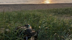 Сахалинцы загадили морские пляжи после отдыха на выходных