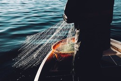 Браконьера будут судить за незаконный вылов рыбы на юго-востоке Сахалина