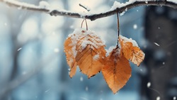 Прогноз погоды на Сахалине и Курилах 12 ноября: слабый снег и пасмурная погода