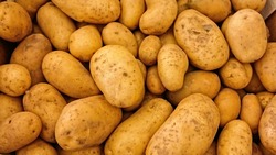 Жители Северо-Курильска пожаловались на высокую стоимость картофеля и помидоров в магазинах