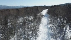 Дроны помогают лесникам охранять краснокнижных оленей на Сахалине