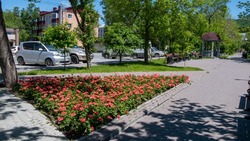 Эксперты объяснили успех проекта «Комфортная городская среда» на Сахалине