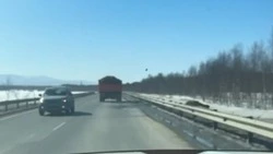 «Чуть на капот не прилетело»: на Сахалине грузовик «удобрил» навозом автомобиль