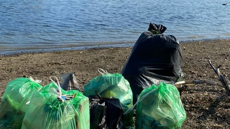 «Просто все в грязи». Туристы из Петербурга очистили от мусора побережье бухты Тихой