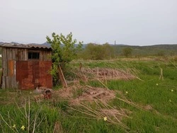 Останки человека нашли в заброшенном здании в Александровск-Сахалинском районе