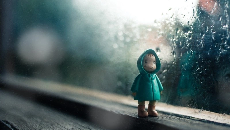 Туманы, дожди и холод: прогноз погоды на Сахалине и Курилах на 26 июня