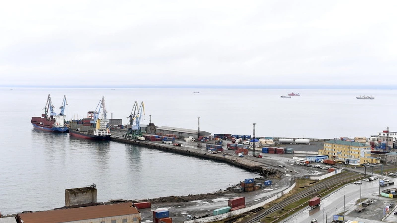 Морские порты хотят заставить приоритетно обрабатывать социальные грузы после коллапса в ДФО